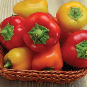Red, orange, and yellow bell peppers