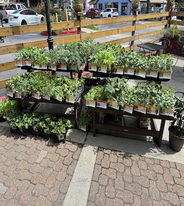 Fruits and Vegetables