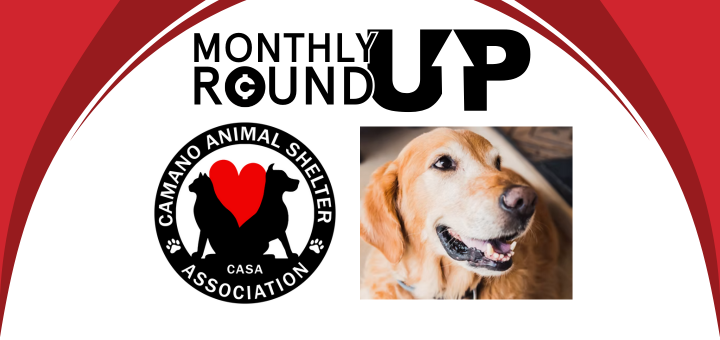 June Roundup