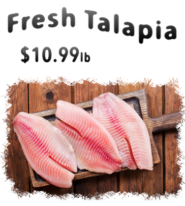 talapia