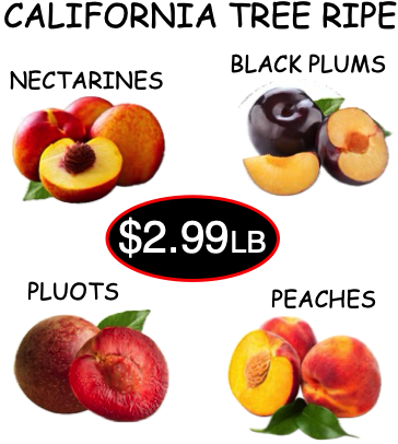 FRUIT