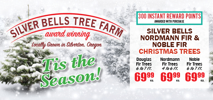 Silver bells trees - price change!