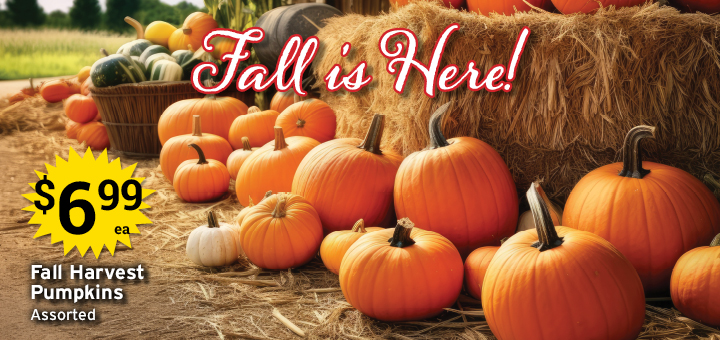 Fall is Here
