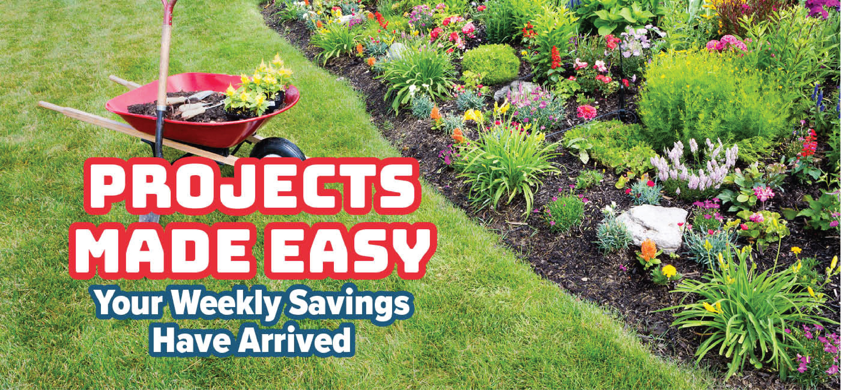 view weekly savings