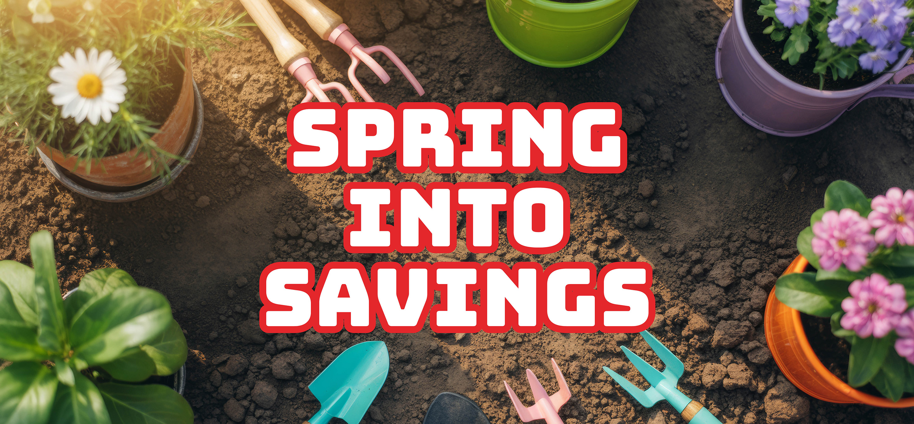 View Our Weekly Savings!