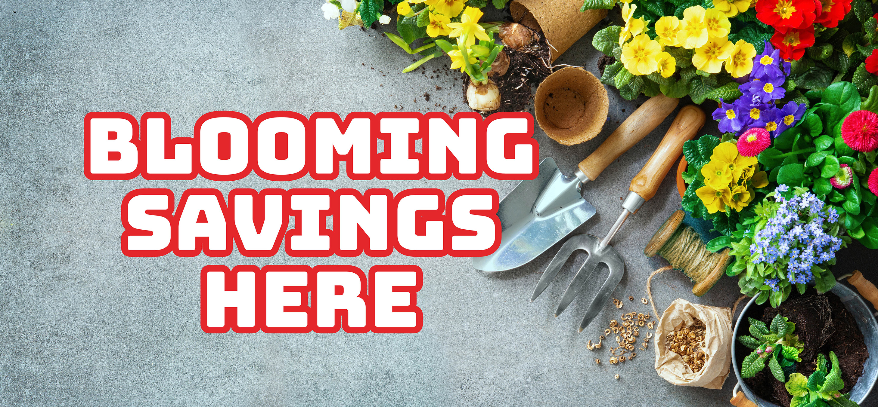 View Our Weekly Savings!