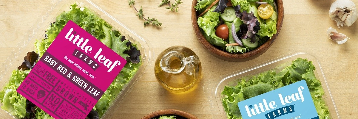 Shop & Save on Green Food Blend Supplements