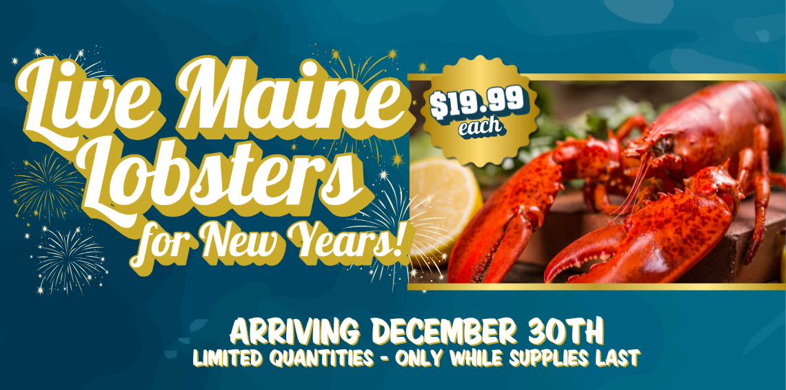 Live Maine Lobsters