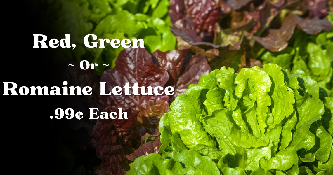 Red, Green Or Romaine Lettuce .99¢ Each