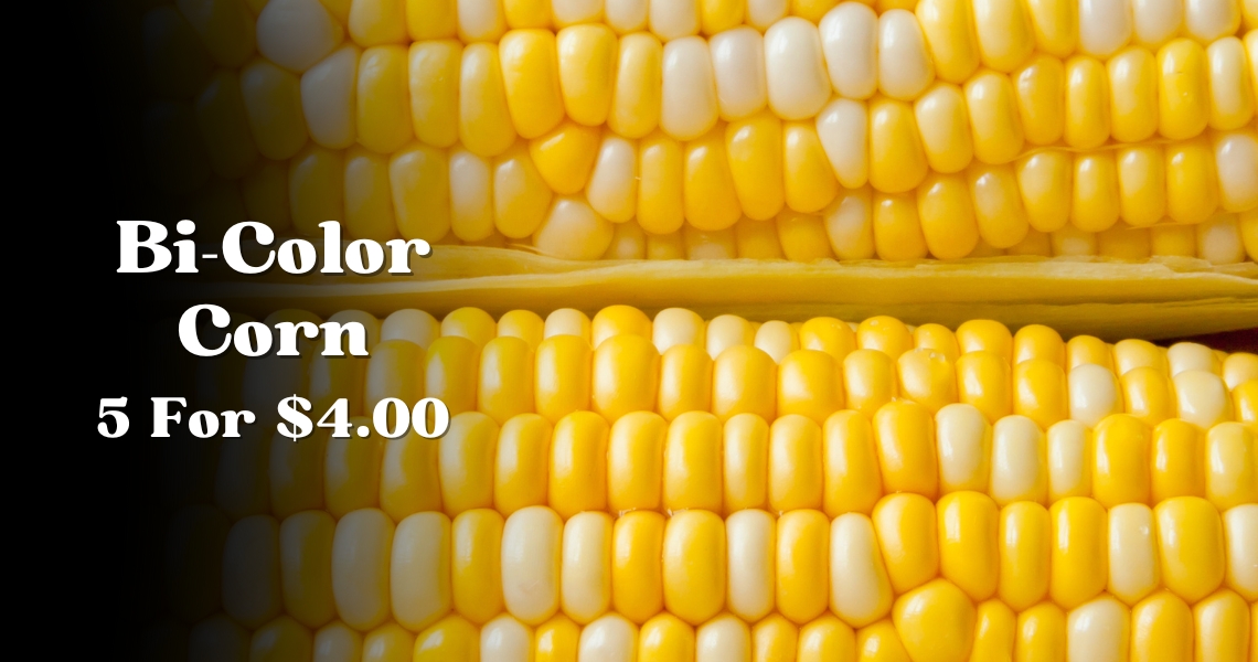 Bi Color Corn 5 For $4.00