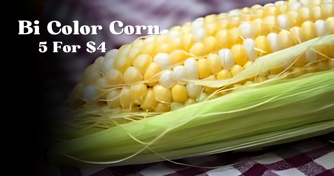 Bi Color Corn 5 For $4.00