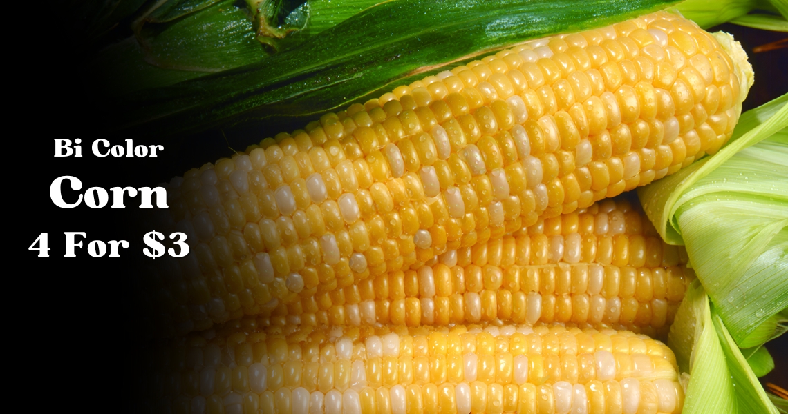 Corn On The Cob 4/$3.00