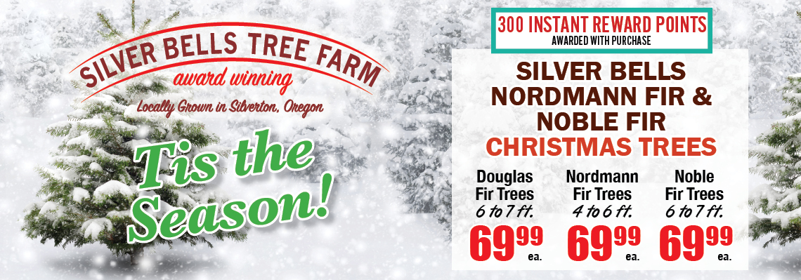 Silver Bells Trees - Price Change!